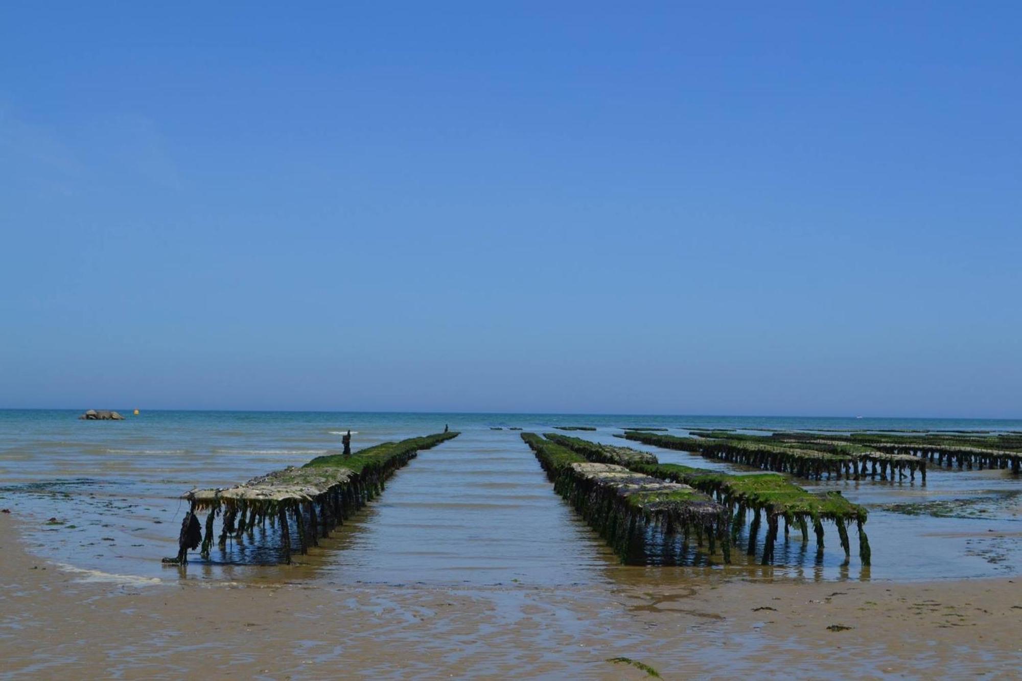 Nid De Pie Grand Duplex Lumineux Cadre Verdoyant Calme A 5 Mn De La Mer Pres Port En Bessin, Bayeux, Omaha Beach, Commes Εξωτερικό φωτογραφία